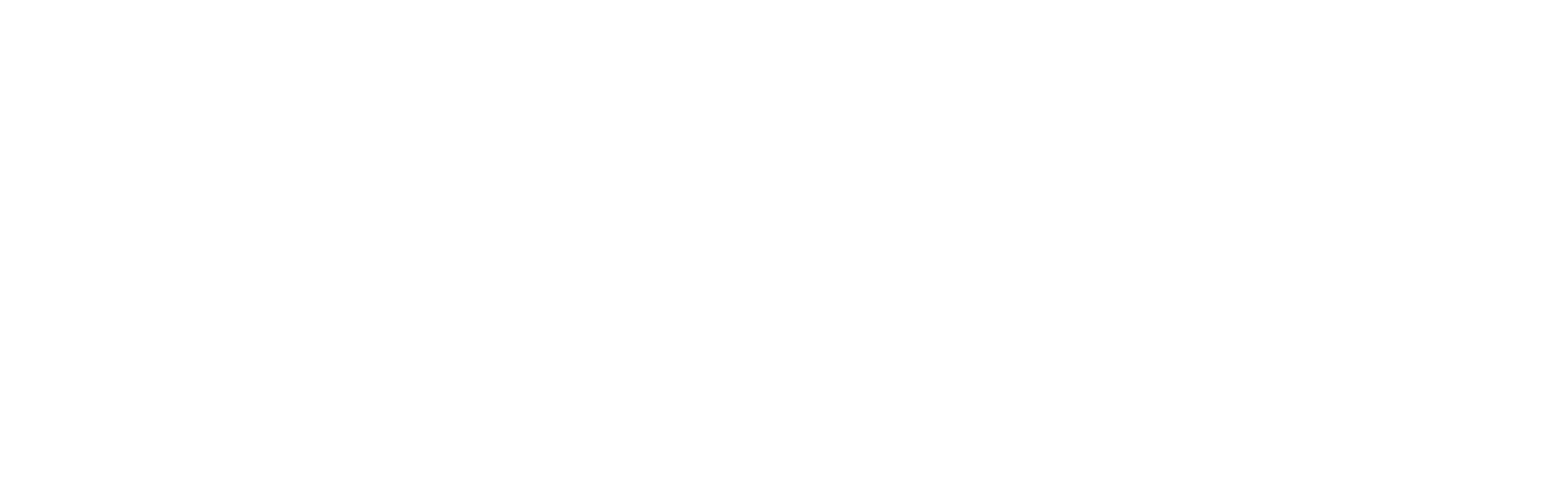 Anesi Lab Logo